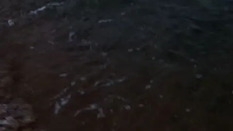 مهمي حصل يبنوتتي خليكي معايا اوعي تستسلمي في يوم من الايام لي اي حاجه اوعي تبعدي عني في يوم او تمشي ورا كلام اي حد ليكي سواء صحابك او اهلك او اي حد خليكي جنبي دايما وايدك في ايدي وهنعدي اي حاجة سوا زي ما كنا دايما بنعديها سوا وهنفضل طول عمرنا سوا للنهايه وعايز اقولك انك وحشتي بباكي اوي يبنوتتي😔💔 ❤️((Y))❤️ #عمرو_دياب #خليك_معايا #بحر #شاطئ #مناظر_طبيعيه #مناظر_طبيعيه_رائعة #تصويري #تصويري📸 