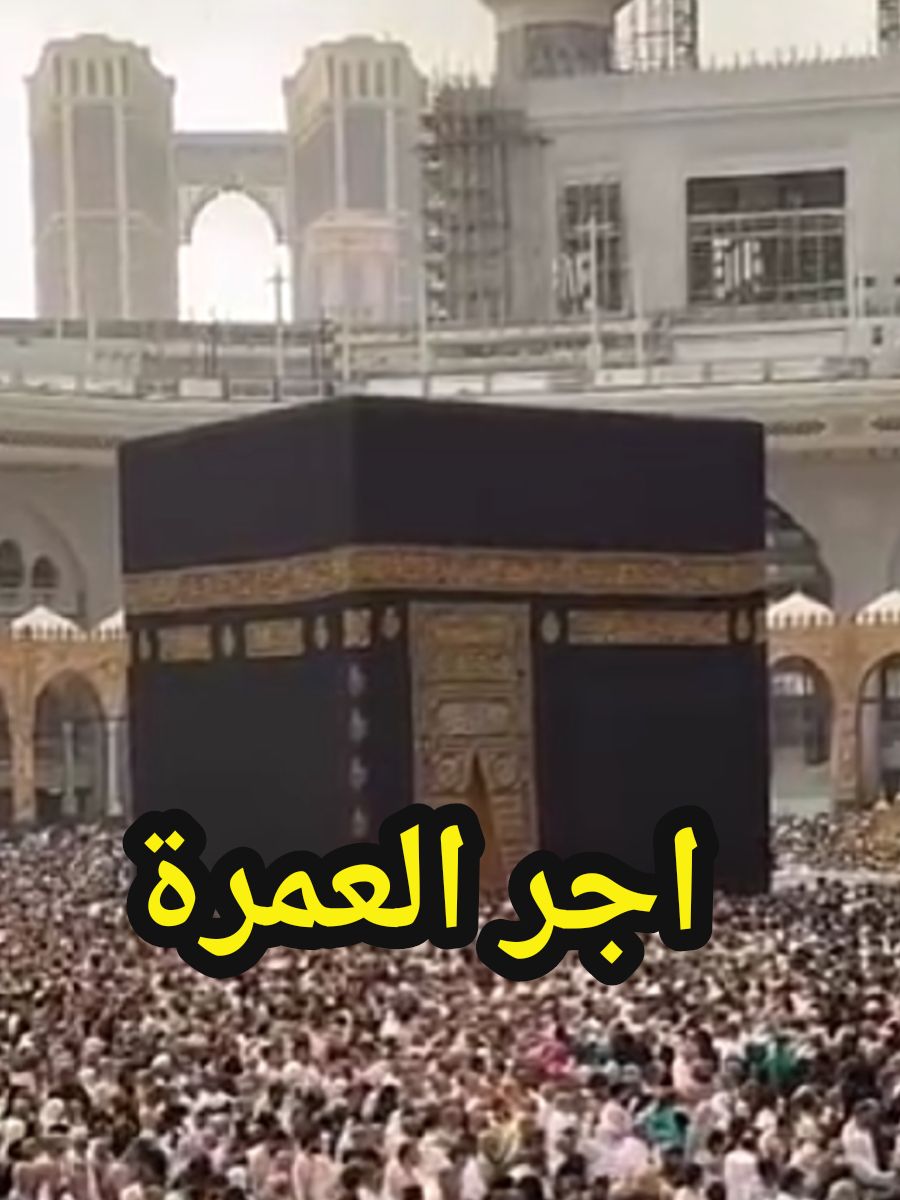 فضل العمرة اجر العمرة الشيخ محمد المختار الشنقيطي حفظه الله #العمرة #مقطع عن العمرة  احرصوا على أداء العمرة #الكعبة_المشرفه #الحرم_المكي #المسجد_الحرام 