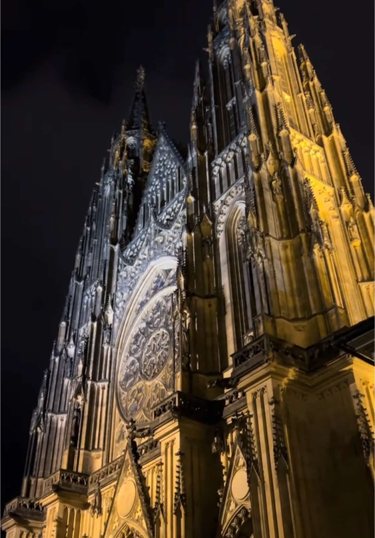 St. Vitus Cathedral in the the night ✨ #prag #prague #praga #praha #praguecity #прага 