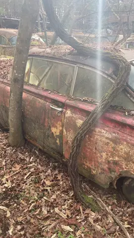 World 🌎 Wonder 7 miles of Trails. Plan Your Visit @oldcarcityusa.com