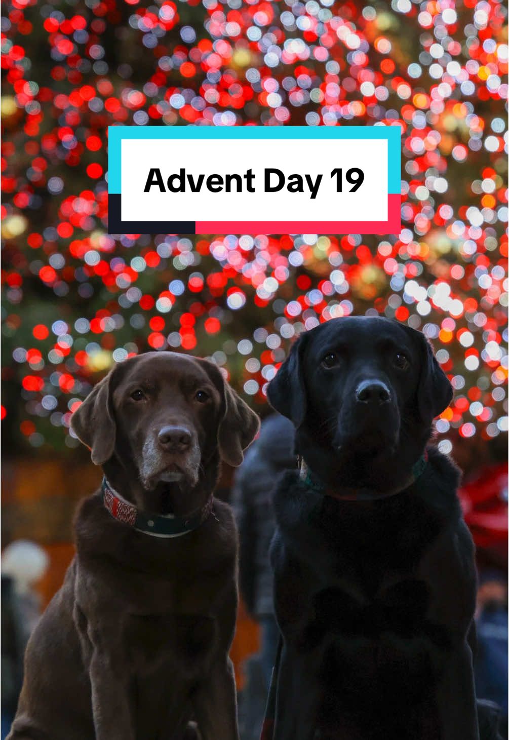 A very british day out 🇬🇧