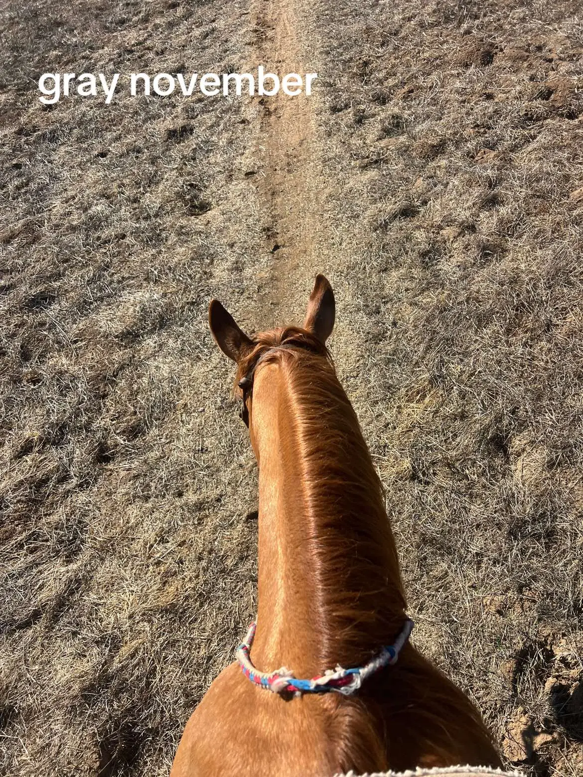 missin josey and green trails extra today 