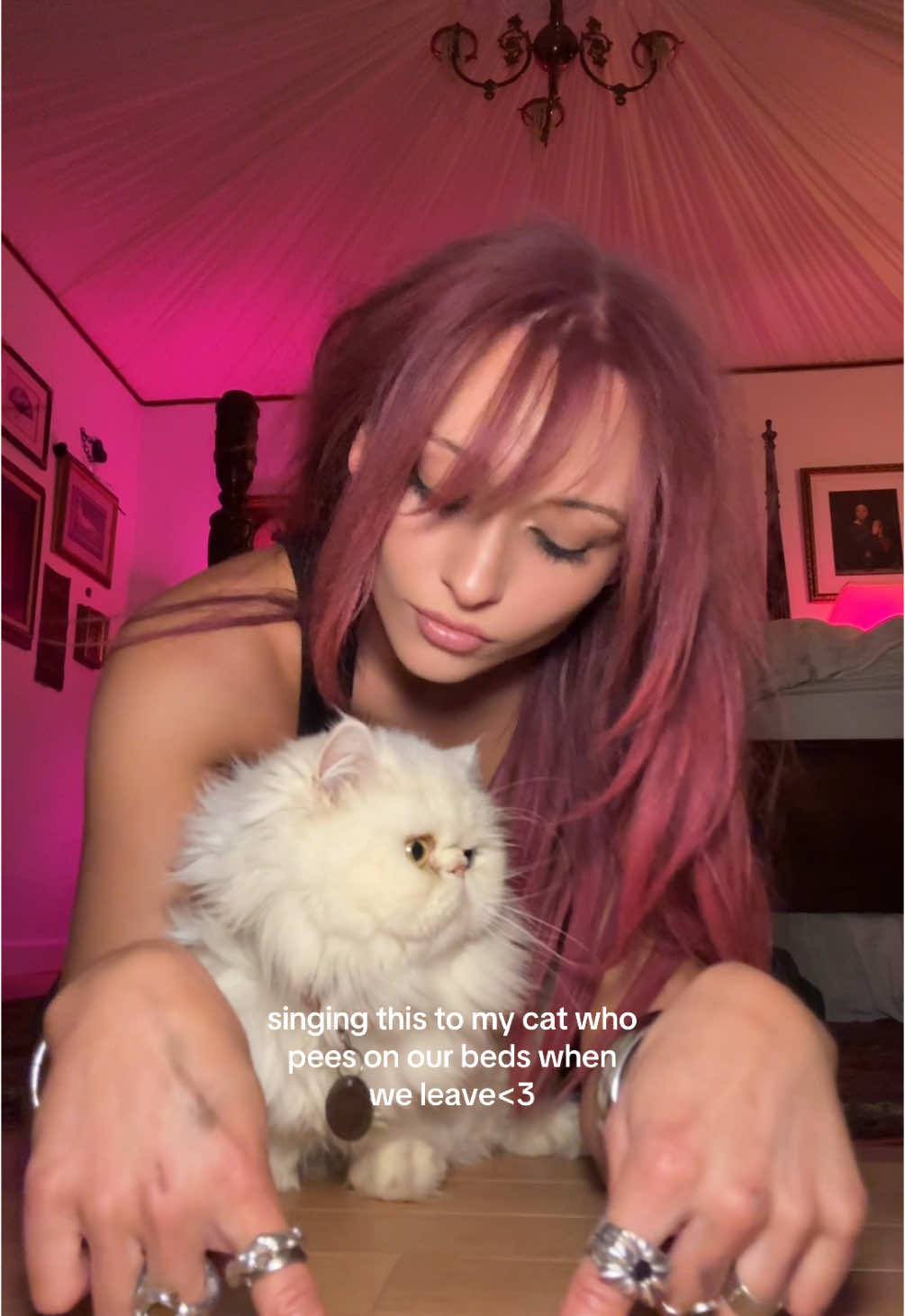 I can’t even be mad look at him:/ 