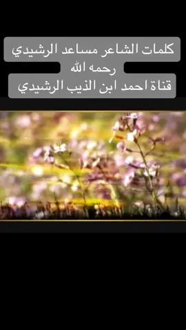 #__حرة__بني__رشيد__اراس__الابيض #شيلات #طرب #شعر #خواطر #SPL #_احمد___بن___الذيب___الرشيدي #اكسبلورررررررررررررررررررر♡♡ #اكسبلورررررررررررررررررررر♡♡ 