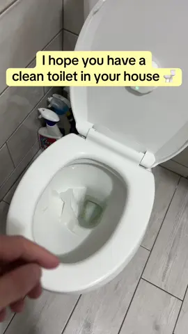 These UVC toilet lights are getting rid of harmful bacteria and viruses! #cleantoilet #toilet #toiletcleaning #toiletcleaner 