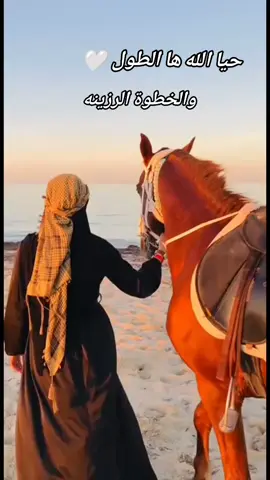 #في هذا اليوم #تونس🇹🇳 #خيل_وخياله🐎 #horse🐎💥 