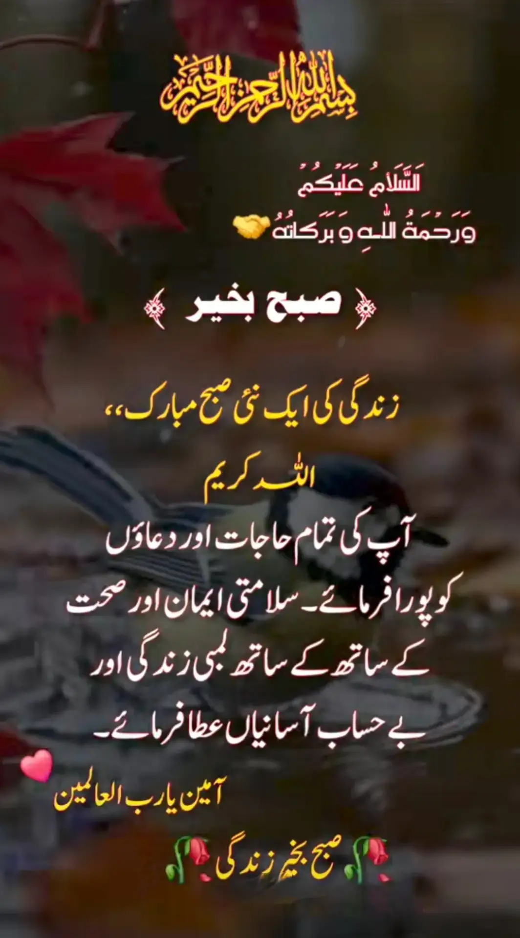 #ameensumameen🤲🤲❤❤🕋🕋 #ameensumameen🤲🤲❤❤🕋🕋 