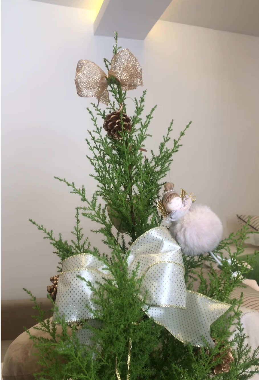 Nossa 1° árvore 🎄 Srta. Minerva #fouryou #natal 