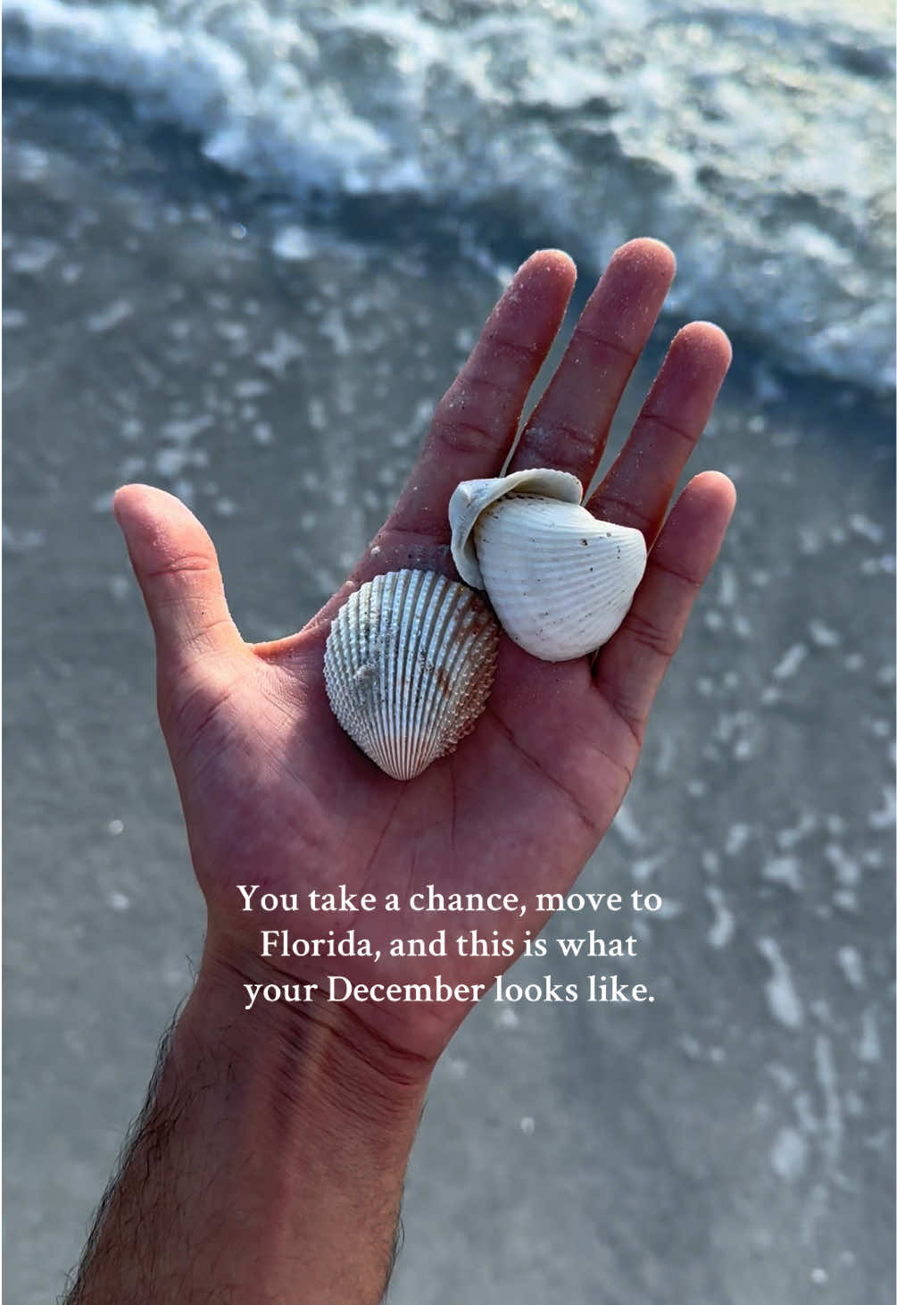 You take a chance, move to Florida, and this is what your December looks like.                         #florida #stpetefl #stpetersburgflorida #tampa #tampabay #floridalife #floridaliving #floridacheck #livinginstpete #stpetebeach #beach 