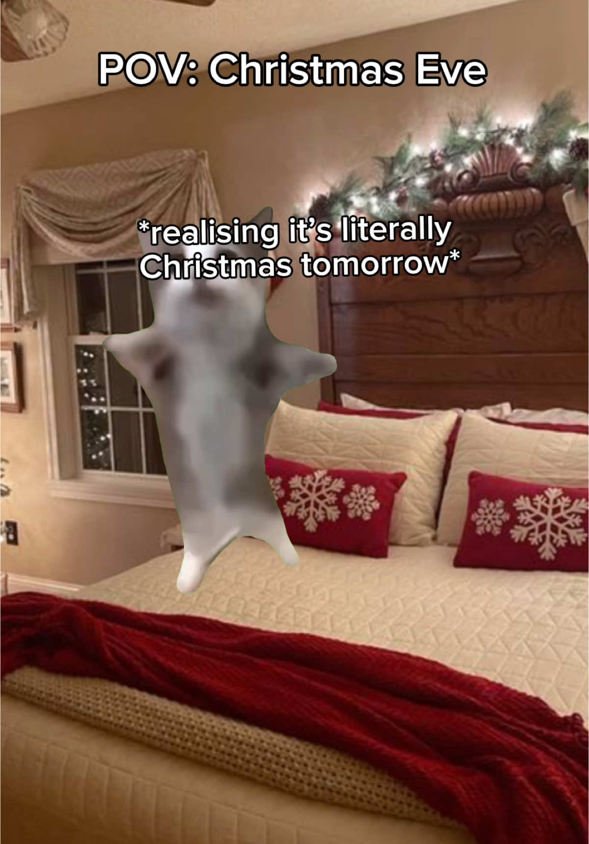 6 days until christmas 🎄 #christmas #catmeme #xmas #xyzabc #fyp #zmastme #xyzba 