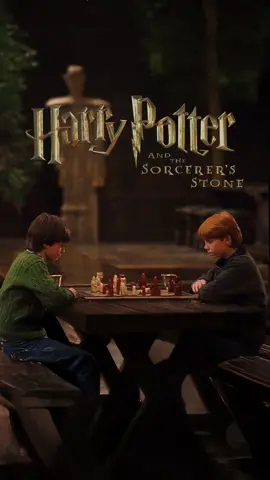 Harry potter and the sorcerer’s stone #harrypotter #nostalgia #nostalgic #harrypotteredit #harrypottertiktok #hagrid #harrypotterchristmas #fyp #beautiful #harrypottermovies #harrypotterpov 