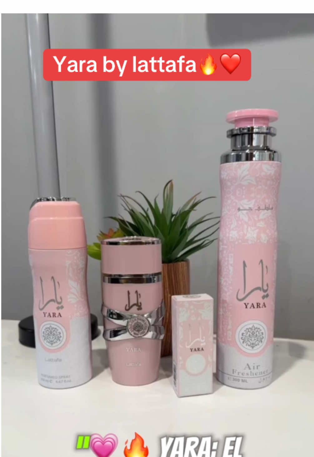 Yara by lattafa 🔥❤️perfume super femenino y seductor 💖💖#yara #yarabylattafa #perfumearabes #perfumeriarabe #seductor #inolvidable #huella #tiktokshop #lattafayara #fragance 