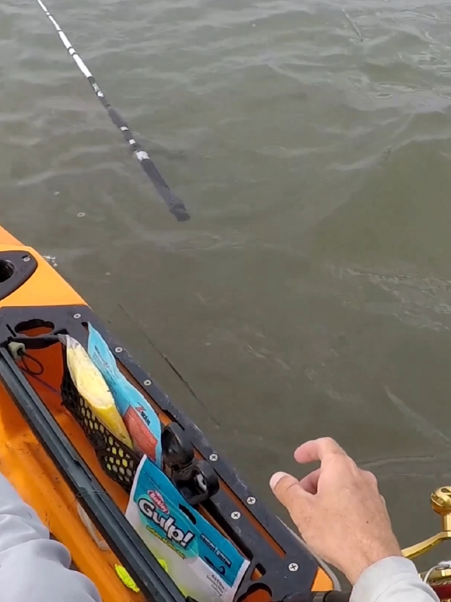 It has something on it! #fishtok #fishing #kayakfishing #kayakadventures #kayak #kayaking #rod #pole 