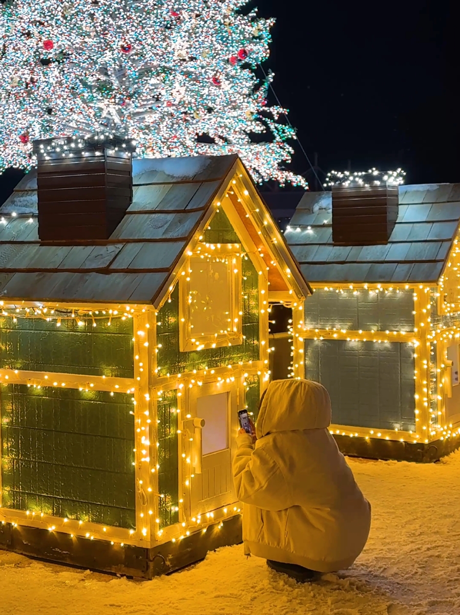 ❄️クリスマスin北海道•函館❄️　 🎥2024.12.19 😊①「函館山 山頂展望台」日本三大夜景⭐️ロープウェイ（冬季は10:00〜21:00）は往復1800円。最寄駅は函館市電の十字街駅。すごく寒いので防寒対策を！ 😊②「金森赤レンガ倉庫」12月25日までクリスマスツリー点灯（16:30〜17:45 18:00〜22:00）毎日18:00から花火の打ち上げも（数分程度）。最寄りは十字街駅。路面が凍っている場所もあるので特に夜は気をつけてください！私は転びました💦 😊③「函館ハリストス正教会」最寄りは十字街駅。クリスマスツリー点灯は22:00まで 📍Hakodate, Hokkaido, Japan ✈️Hakodate Airport ⭐️Save this for your future trip to Japan! #hakodate #hokkaido #visitjapan #japantrip #japantravel #traveltiktok   #函館  #函館山  #金森赤レンガ倉庫  #函館ハリストス正教会  #クリスマス  #日本三大夜景  #北海道観光  #北海道旅行  #絶景  #fyp #ญี่ปุ่น  #การเดินทาง  #일본  #여행  #NhậtBản #chuyếnđi #Jepang #Perjalanan #japon #voyage #giappone #viaggio #日本旅遊  #日本旅游 
