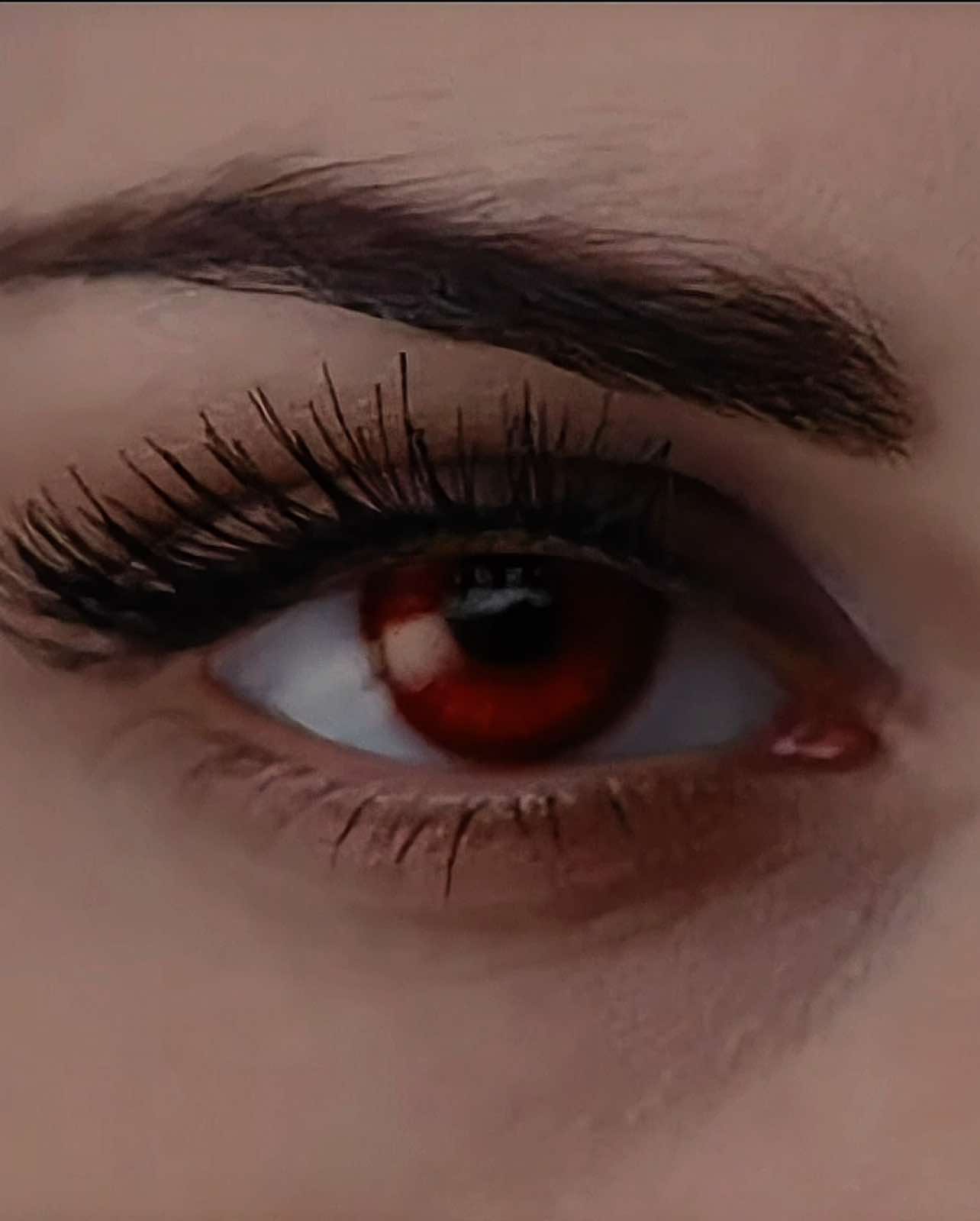 ❦ the beauty of breaking dawn pt 1 ❦   (fake everything)  #twilight #twilightsaga #edwardcullen #bellaswan #twilighttiktok #breakingdawn #fyp #fypシ #edit #edits #editor  