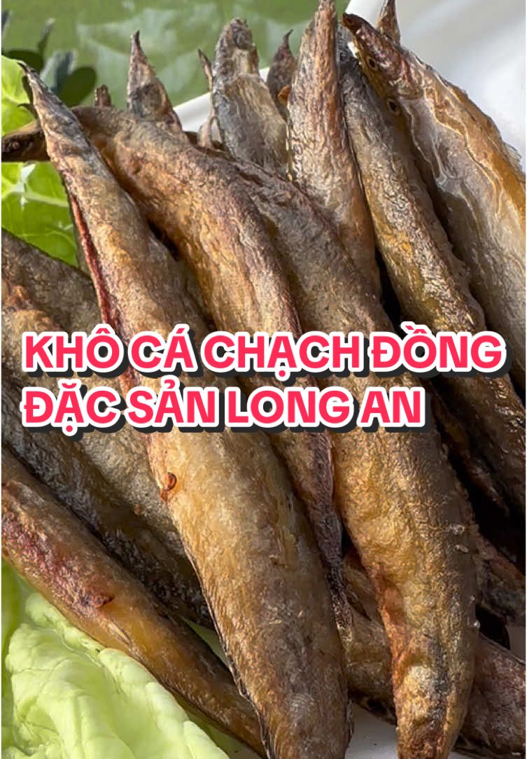 Khô cá chạch đồng con to ú nu nha mấy ac vị em ướp vừa ăn đặc biệt ko mặn nha #xuhuong #flypシ #dan62longan #trend #62la #xuhuongtiktok #trendingvideo #lênxuhướng 