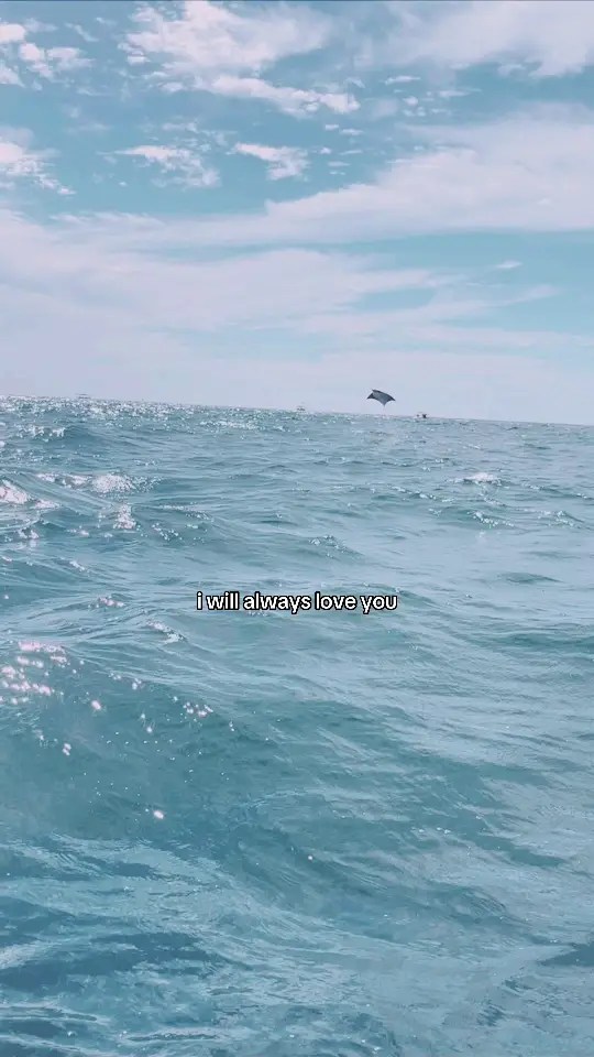 #iloveyou #frankocean #iwillalwaysloveyou #fypシ゚viral #relatable #trending 