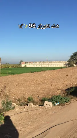 ‏عندك لوزار #98 