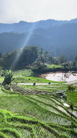 #healing #sunmori #naringgul_cianjur_selatan 