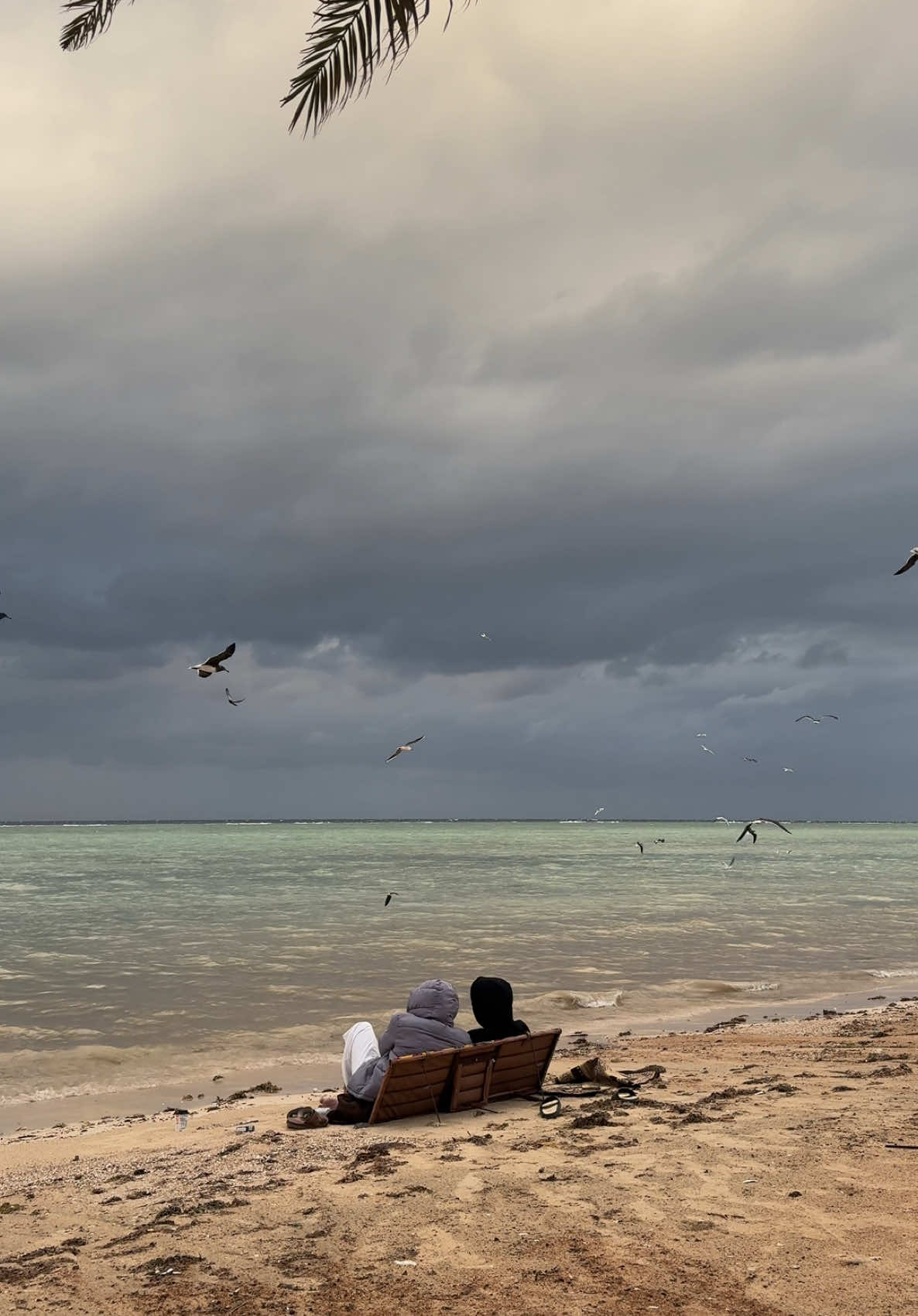 جيتك سما وغيوم حبّي تمطرك ‏ #fyp #explore #foryou #ينبع 