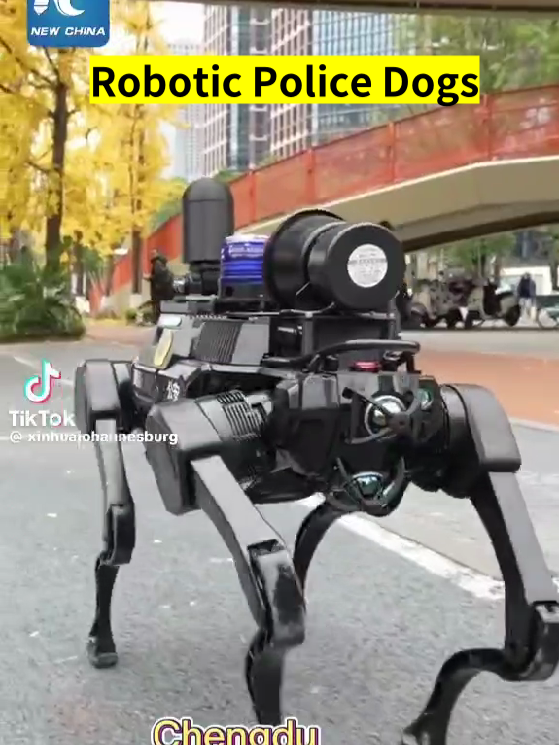 Robotic police dogs in #chengduchina