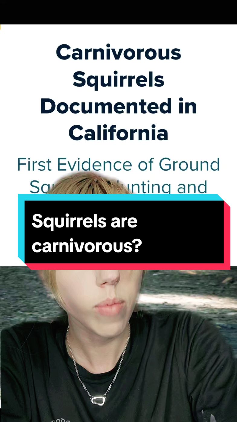 i cannot today #sciencenews #news #squirrels