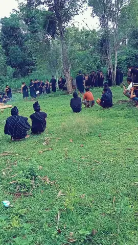 Acara Dampo'...Nipakalompo Nu Lompoa👍