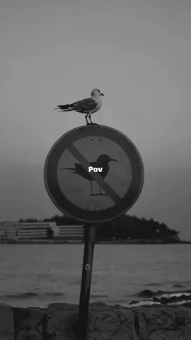 POV: Syktyvkar underground KomiCrime #giopika #сыктывкарандеграунд #комикрайм 