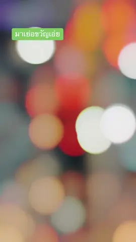 #ตามจังหวะ #ตาโตชิษณุพงศ์ #บอสมีดีที่เคย120 