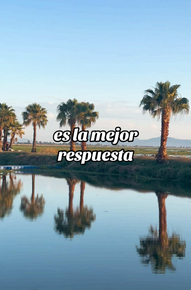 MEJOR ESTAR SOLO QUE MAL ACOMPAÑADO #frasesbydanyalex 