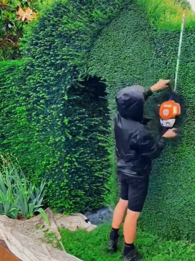 What a relaxing work, like after 5 seconds to get us boosted for the algorithm 🙏 #gardencleaning #hedges #trimming #cleaningasmr #cleaning #gardentok #garden #ukgarden 