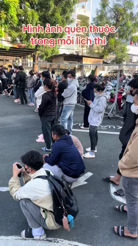 Thi xong muốn có bằng hơn tới tết #huybanglai #dungbanglai #baobanglaixe #sybanglai 