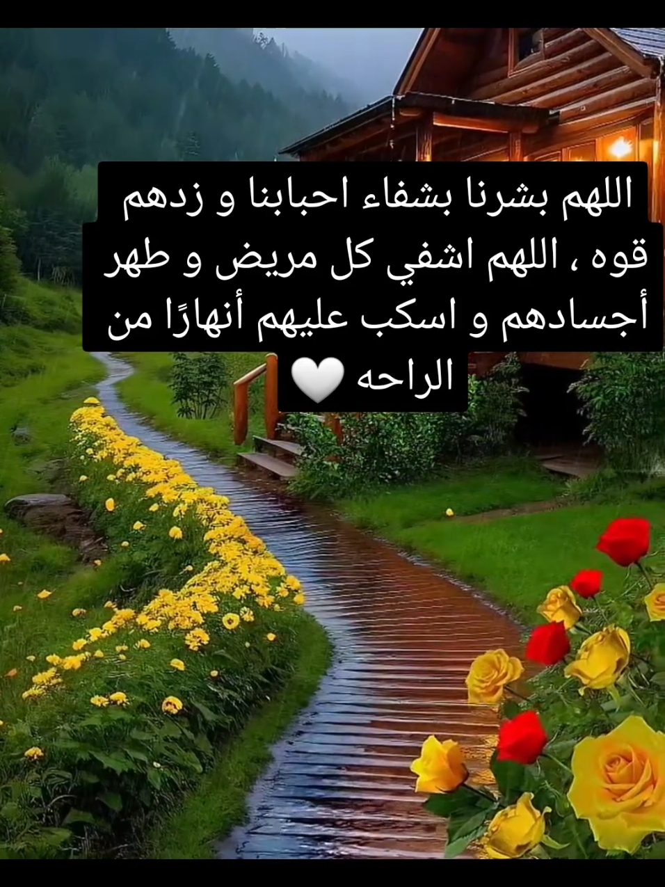 #اللهم امين يارب العالمين 🤲🤲  #اللهم اشفي كل عزيز وغالي علينا ♥️♥️ #اكسبلور #تيك_توك 