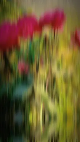 केही थिएन तिमिलाई दिन म संग माया बाहेक #fyp #viral #vedio #trending #toktok #dreamsboy18 #keppsupporting 