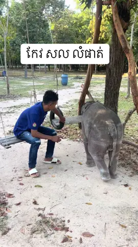 ថ្ងៃនេះនាំអូនលំផាត់ដើរលេងទៀតហើយមើលទៅអូនលំហាត់សប្បាយចិត្តណាស់🥰🐘