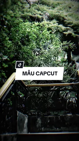 Cạn lòng vì nhau như thế nhận về thị phi người chê #CapCut #edit #mẫucapcut #xh #nhachaymoingay #lyrics #capcutmaster 