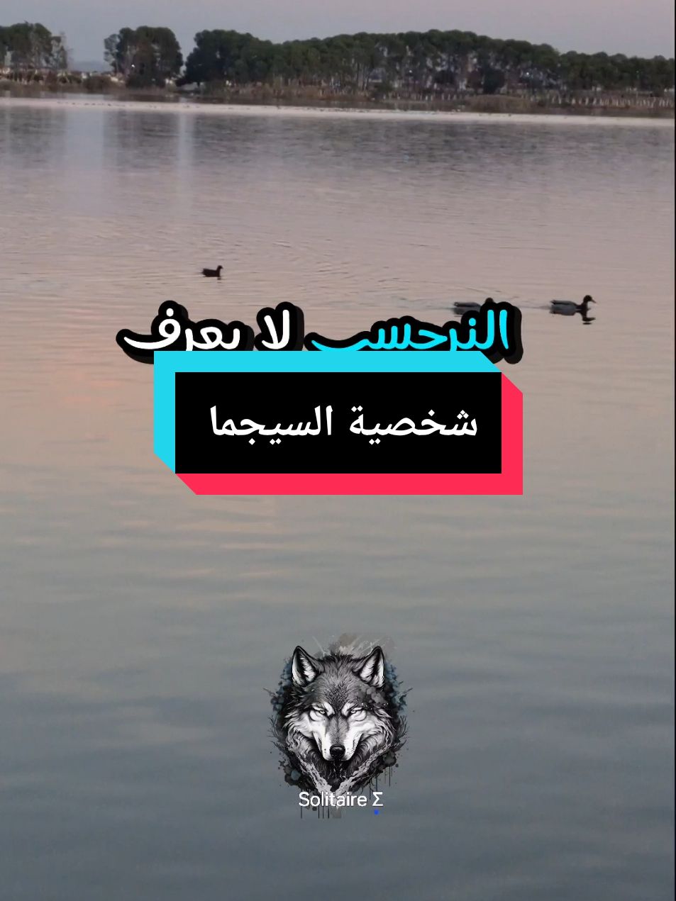 شخصية السيجما  sigma personality  #sigmamale #sigmafemale #alphamale #alphafemale #Motivation #motivación #motivazione #motivasi #power #الذئب_الوحيد #الذئب_المنفرد #سيجما #السيجما #سيغما #السيغما 