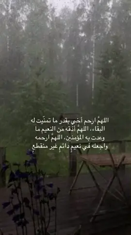 #اللهمَّ ارحم أخي بقدر ما تمنّيت له البقاء، اللهمَّ أذقه من النعيم ما وعدت به المؤمنين، اللهمَّ ارحمه واجعله في نعيمٍ دائمٍ غير منقطعٍ
