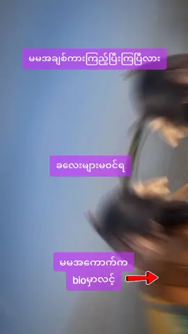 #CapCut #willထဲမှာလင့် #နောက်ကျတဲ့ခြေထောက်သစ္စာဖောက် #foryoupage #fypシ #fypシ #fypシ 