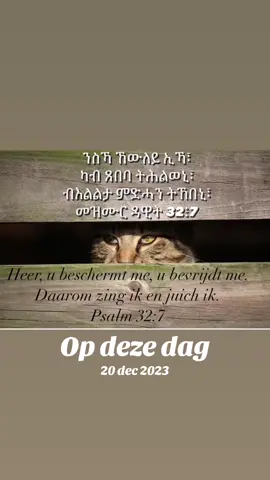 #opdezedag #ተዋህዶ_ለዘላለም_ትኑር🇪🇹🇪🇹🇪🇹🇪🇹🙏🙏🙏🙏❤❤💒💒💒💒 #ተዋህዶም_የኛ😍😍😍👏🎤👏🎤👏🎤 #mezmurortodoxtowhado #ተዋህዶ #ተዋህዶ 