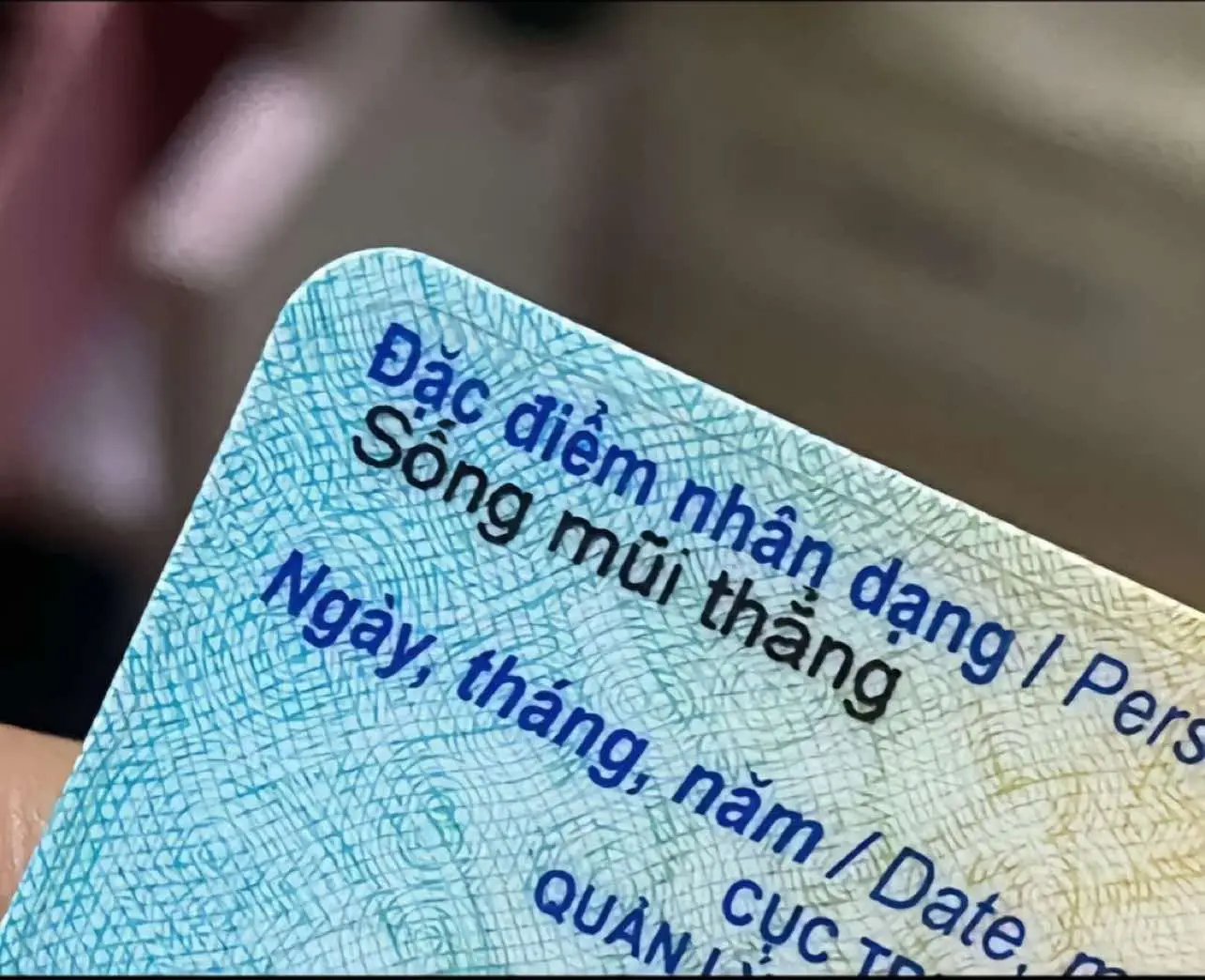 Trvia giống bố mũi cao và thẳng 🤣#haiphong 