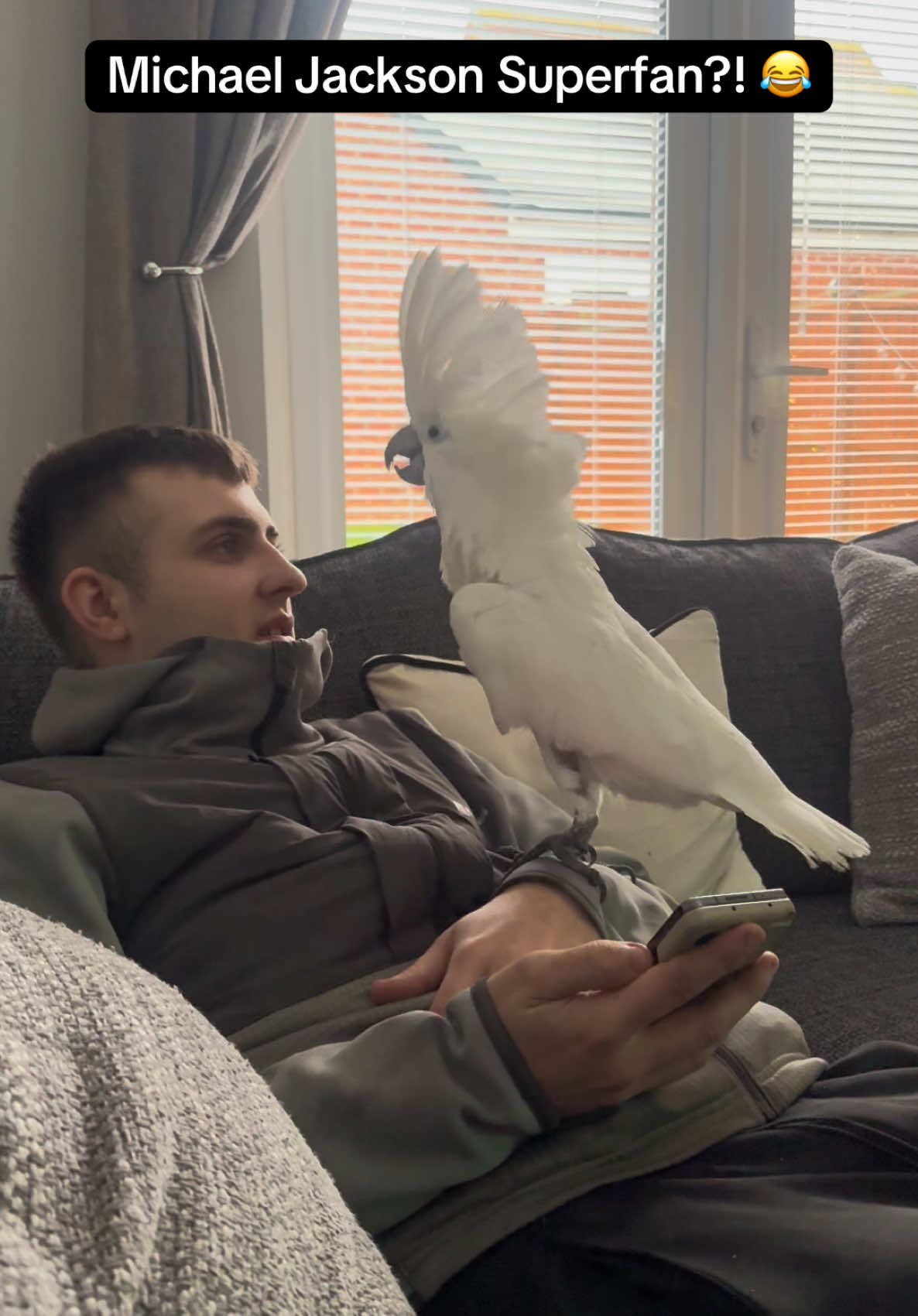 He absolutely ATE this performance 😂💃 MJ fan just like his mama 🥰 hope no ones too offended by my husbands face this time i didnt have a balaclava on me 😂🙈 #michaeljackson #michaeljacksonfan #mj #cockatoo #funnybirds #parrotsoftiktok #dancingbird #foryoupagе #thriller #michaeljacksonforever #bird #funnyvideos😂 