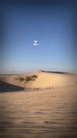 #الاحساء #الفناجيل #ملكززه #القصيم #هايلوكس 