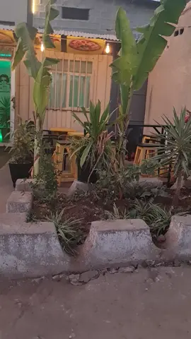 nova's kitchn @harar