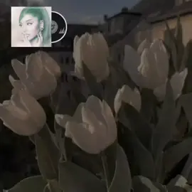 motive-(with doja cat) ariana grande (tradução português) #motive #arianagrande #positions #arianator #foruyou 