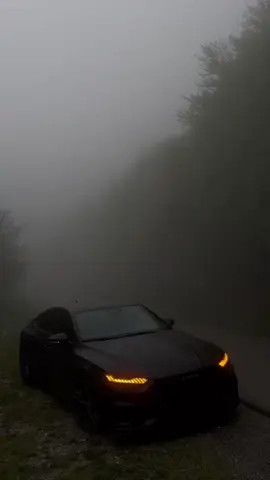 #duet cùng @live _wallpapers #audi #xuhuongtiktokk me😍