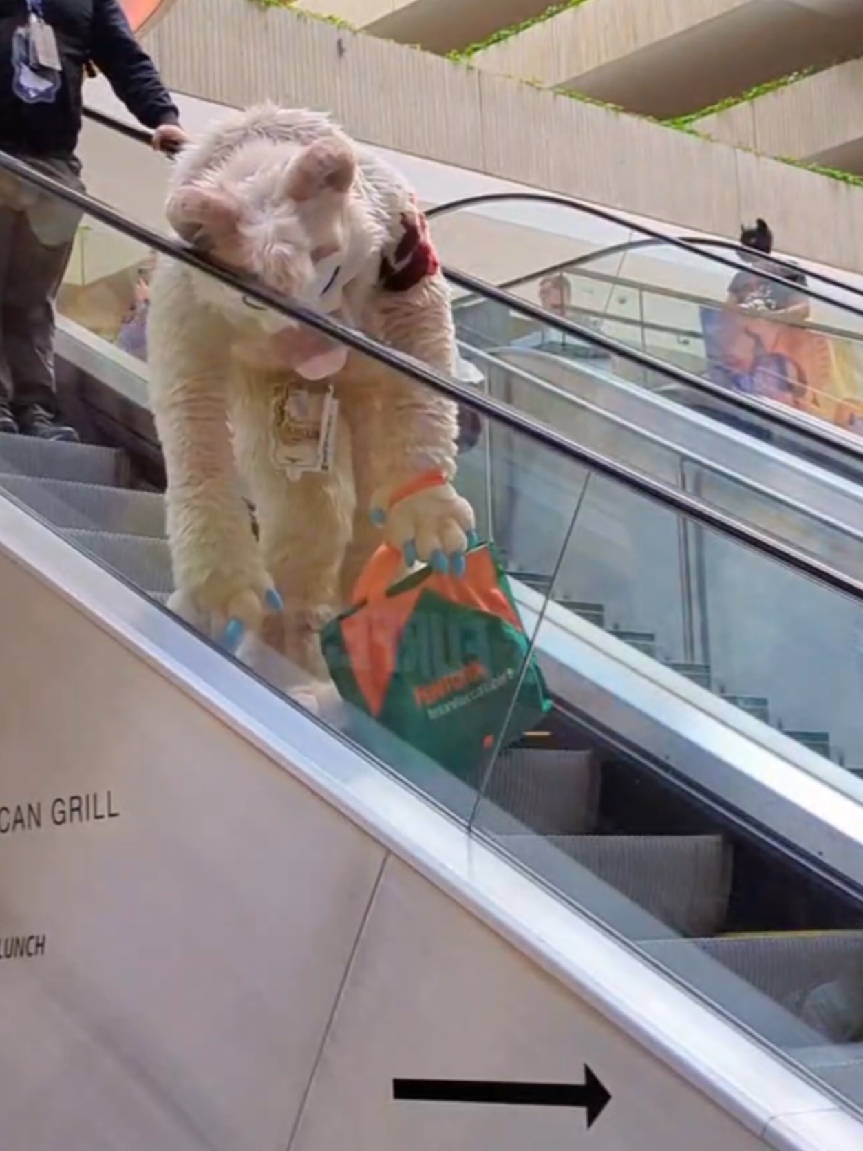 Midwest FentFest #fursuit #furry #furryfandom #furrytiktok #bear #bearfursuit #MFF2024 #midwestfurfest2024 #midwestfurfest 