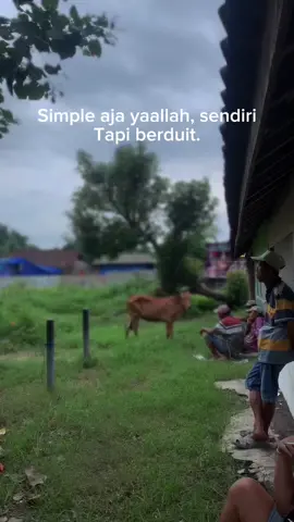 😊#probolinggo_jawatimur #fypシ゚viral #probolinggo24jam🤙💥✈️ #probolinggohitz #peternaksapiindonesia 