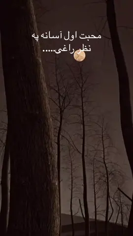 #foryou #lyricsvideo #fypシ゚viral #fupシ #fyp 