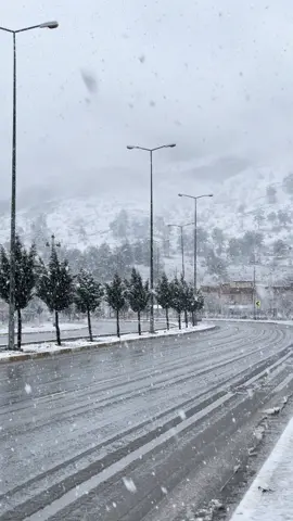 زاويته اثناء تساقط الثلوج